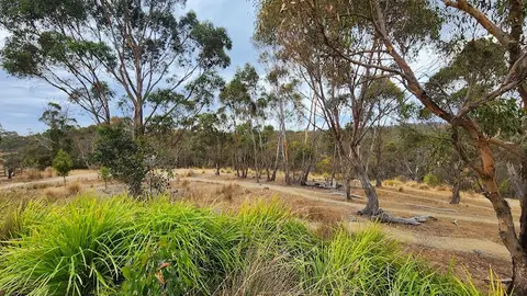 Tolmans Hill Park