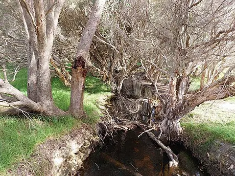 Beenyup Swamp Circuit, Yellagonga Regional Park