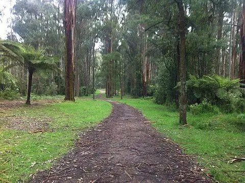 Dandenong Ranges National Park - Sherbrooke Forest (Grants Picnic Ground and Sherbrooke Falls)