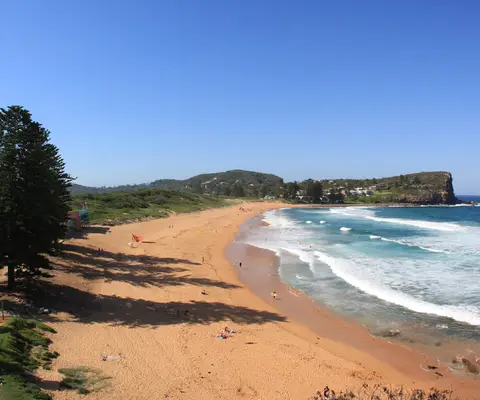 Avalon Beach
