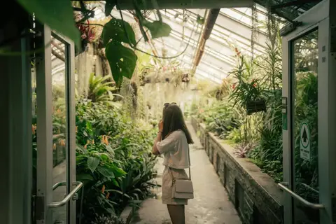 Cairns Botanic Gardens