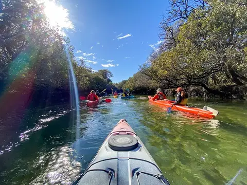 Adventure Kayaking SA - Garden Island kayak hire