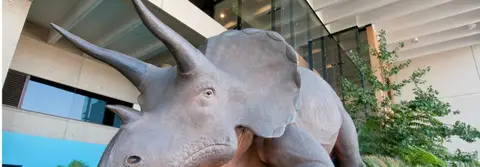 Queensland Museum - Dinosaur Garden
