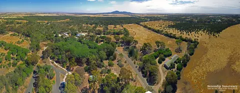 Serendip Sanctuary