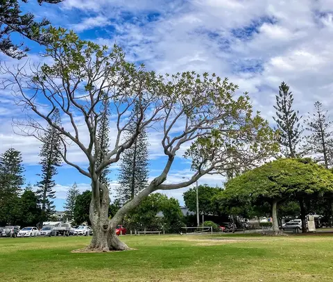 Jamieson Park