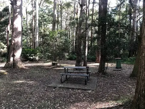 Apple Tree Park