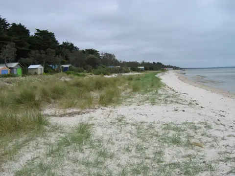 Rosebud Beach