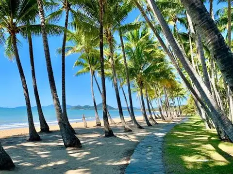 Palm Cove Beach