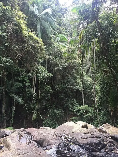 Atrax circuit, D'Aguilar National Park