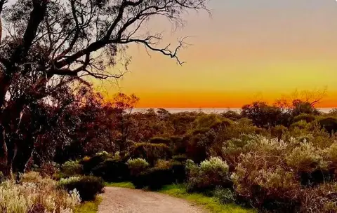 Bold Park - Zamia Trail