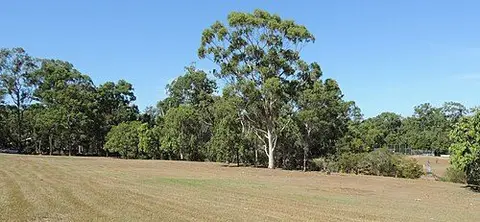 D.M. Henderson Park