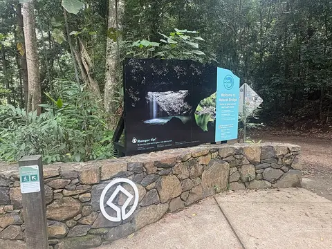 Natural Bridge circuit, Springbrook National Park