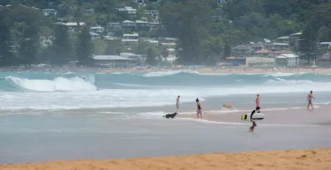 Avoca Beach