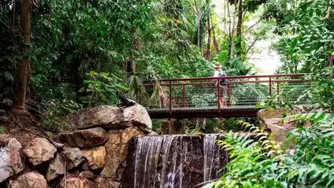 George Brown Darwin Botanic Gardens