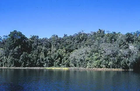 Lake Eacham, Crater Lakes National Park