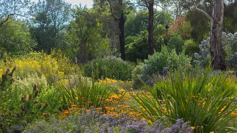 Wittunga Botanic Garden