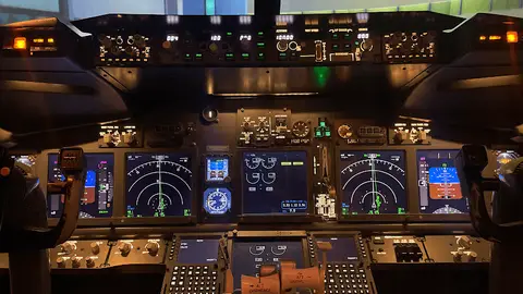 FlightX