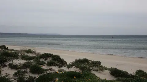 Carrum Beach