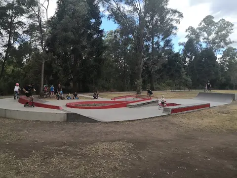 Ashgrove skate facility