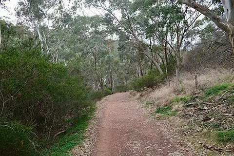 River Red Gum Loop, Shepherds Hill Recreation Park