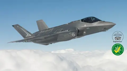 Fighter World