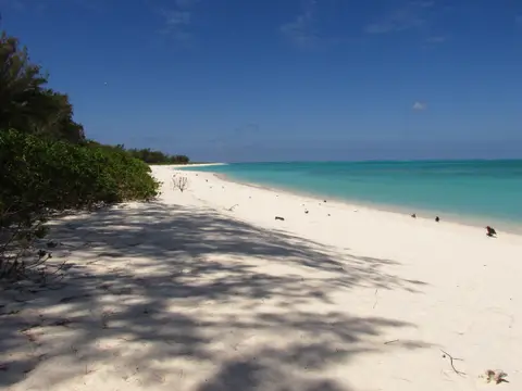 West Beach