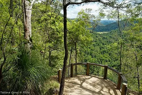 Kondalilla National Park