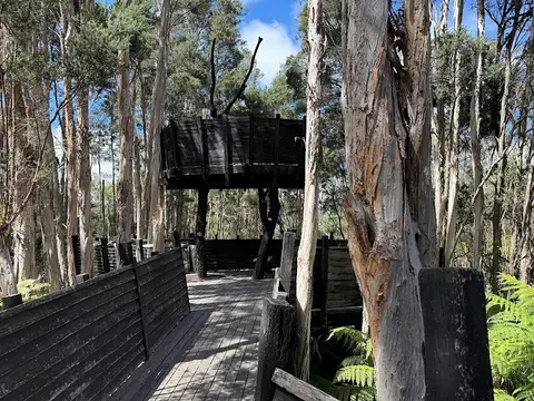Paperbark Treehouse and Garden, Australian National Botanic Gardens