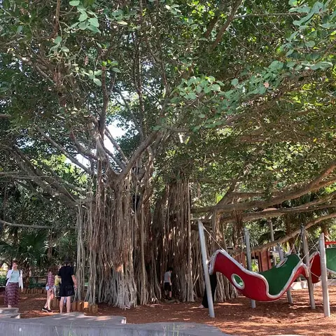Picnic Island Playground