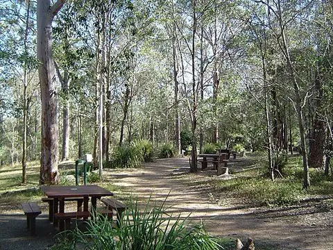 Tingalpa Creek circuit, Venman Bushland National Park