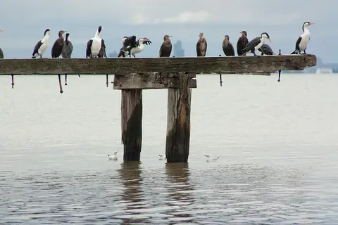 Point Cook Coastal Park