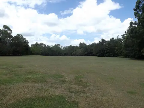 Alexander Clark Park