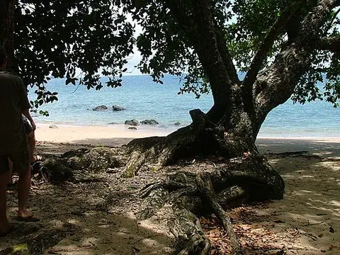 Etty Bay