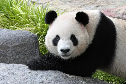 Adelaide Zoo