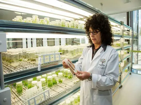 Australian PlantBank