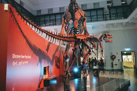 Australian Museum - Dinosaur Gallery