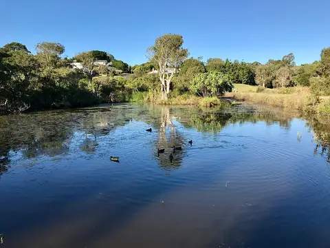 Sherwood Arboretum