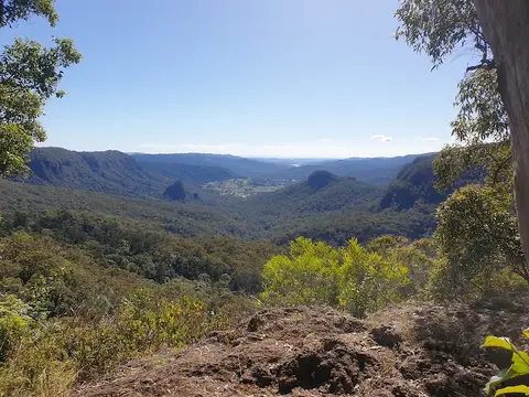 Rainforest circuit, Binna Burra (Lamington National Park)
