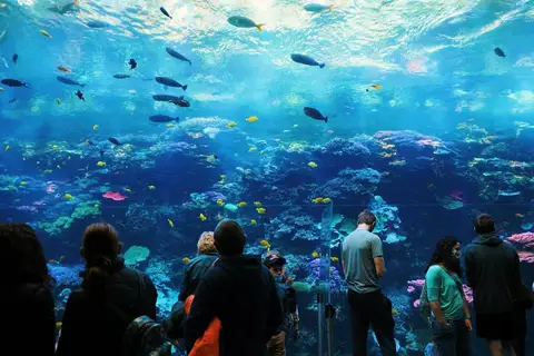 Underwater Sports Diving Centre