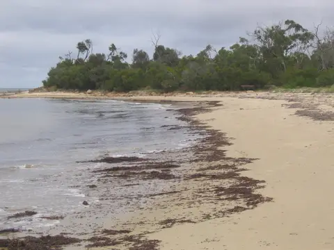Balnarring Beach
