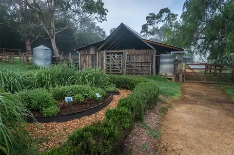 Camden Town Farm
