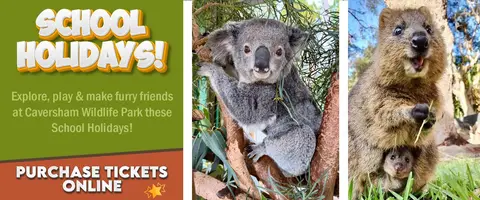 Caversham Wildlife Park