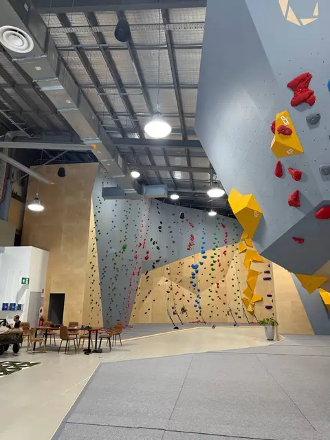 Gecko Climb Darwin