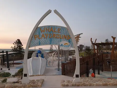 Whale Playground