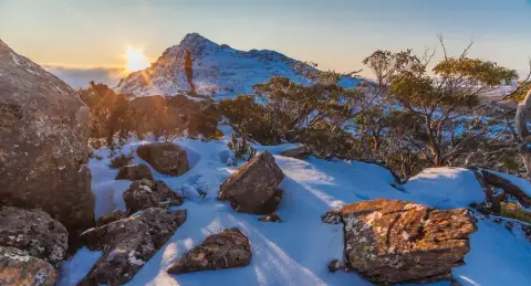 Mount Field National Park