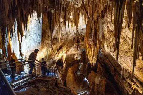Hastings Caves and Thermal Springs