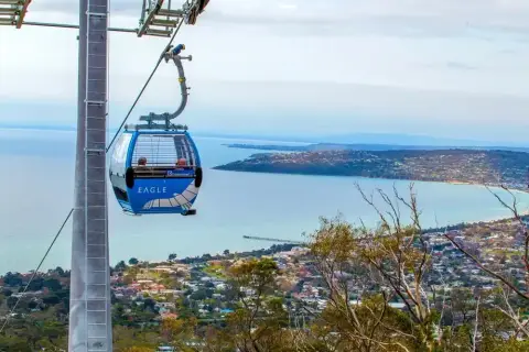 Arthurs Seat Eagle
