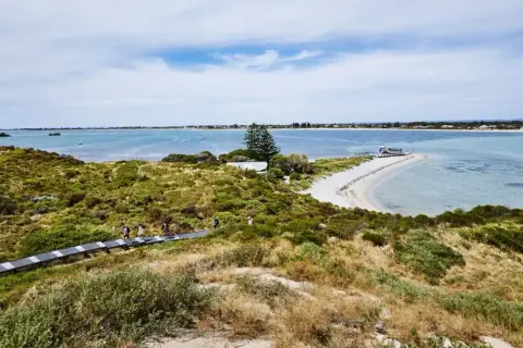Penguin Island