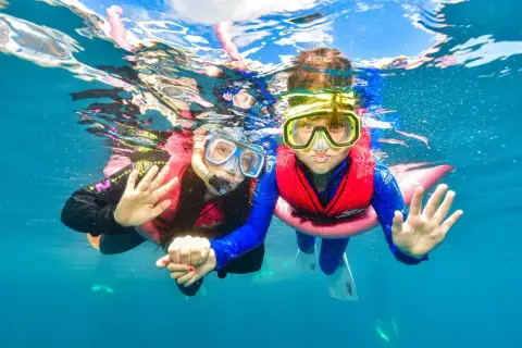 Reef Magic