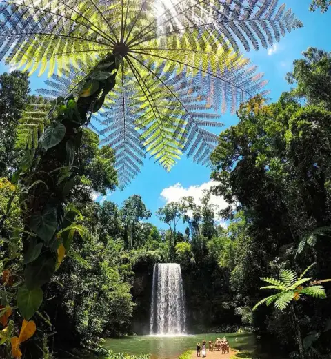 Millaa Millaa Falls